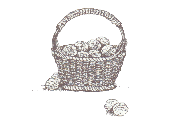 Drawing of basket from page 13 of the Lunch Book